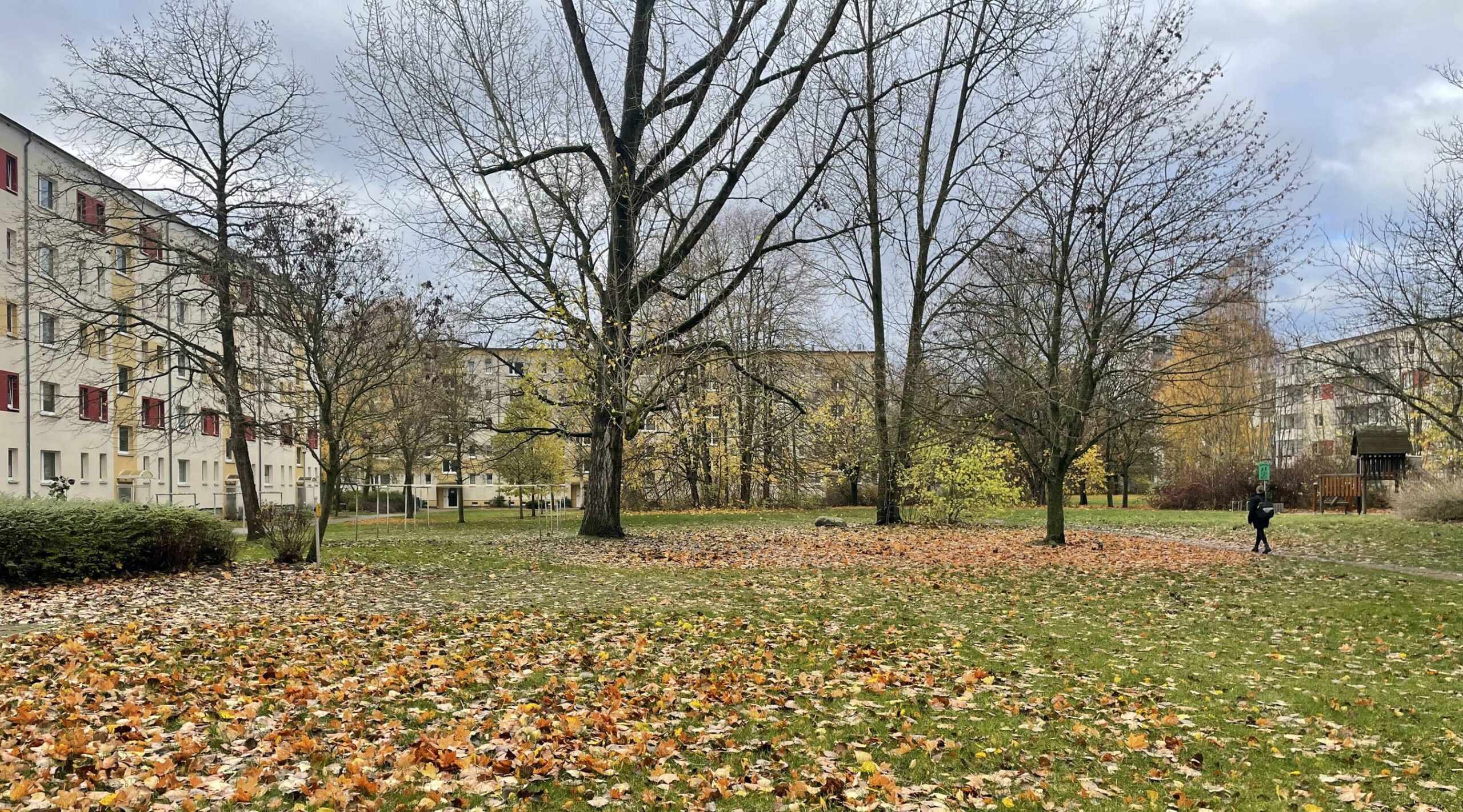 yellow z — Startseite [de]